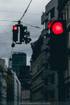 1-Vienna0087-IMG_1639