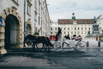 1-Vienna0319-P1330638