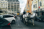1-Vienna0549-P1340744