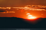 1-Vienna0979-IMG_3715