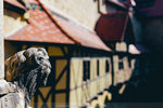 1-Vienna1039-IMG_4273