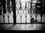 P1120132