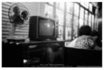 6IMG_0036