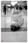IMG0371
