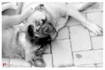 aimg_0003