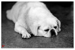 aimg_0004