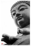 aimg_0019