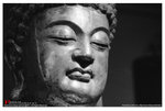 aimg_0028