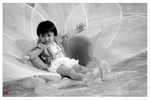 aimg_0035