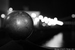 IMG_1303
