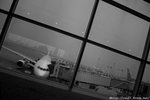 IMG_3698