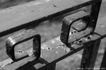 IMG_6414