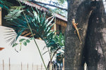 P1020060