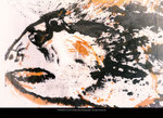P1060673
