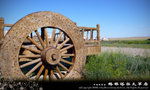 L1050565