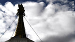 IMG_9519
