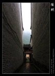 IMG_8286