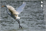 IMG_5817