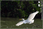 IMG_5861