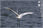 IMG_5868