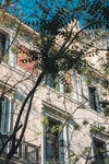 2019 Athen-0213-P1110038