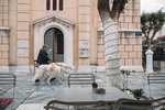2019 Athen-0302-P1110254