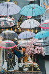 2019 Athen-0365-DSC03496