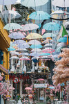 2019 Athen-0381-DSC03640