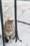 2019 Athen-0490-DSC04039