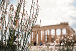 2019 Athen-0702-P1110969