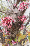 2019 Athen-0794-P1120310