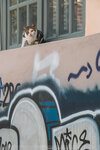 2019 Athen-1238-P1150304