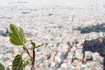 2019 Athen-1588-P1170397