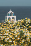2019 Santorini-0061-P1180726