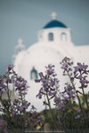 2019 Santorini-0067-P1180745