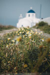 2019 Santorini-0070-P1180791