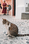 2019 Santorini-0154-P1190010
