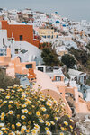 2019 Santorini-0204-P1190116
