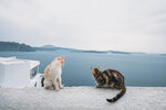 2019 Santorini-0255-P1190286