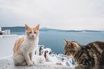 2019 Santorini-0258-P1190302
