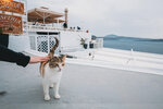 2019 Santorini-0261-P1190322