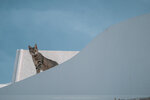 2019 Santorini-0342-P1190489