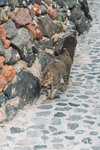 2019 Santorini-0408-DSC04998