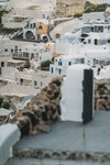 2019 Santorini-0456-DSC05121