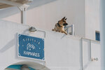 2019 Santorini-0869-DSC05766