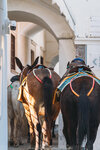 2019 Santorini-1196-DSC06259
