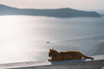 2019 Santorini-1217-DSC06323