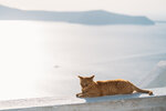 2019 Santorini-1218-DSC06325