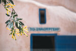 2019 Santorini-1441-P1220409