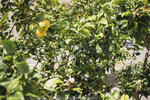 2019 Santorini-1462-P1220456